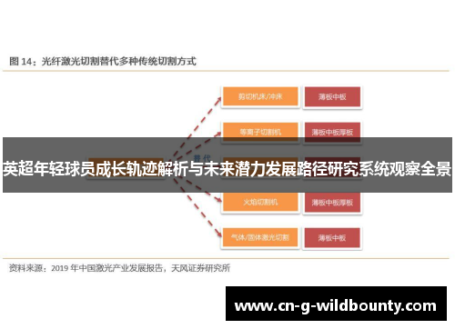 英超年轻球员成长轨迹解析与未来潜力发展路径研究系统观察全景