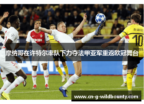 摩纳哥在许特尔率队下力夺法甲亚军重返欧冠舞台 摩纳哥在许特尔率队下力夺法甲亚军重返欧冠舞台