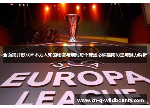 全面揭开欧联杯不为人知的秘密与规则每个球迷必读指南历史与魅力解析
