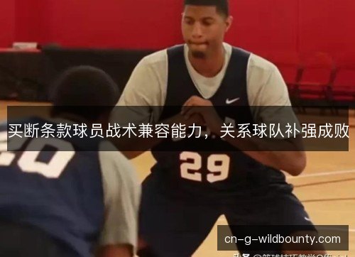 买断条款球员战术兼容能力，关系球队补强成败