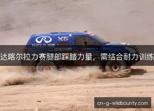 达喀尔拉力赛腿部踩踏力量,需结合耐力训练 达喀尔拉力赛腿部踩踏力量,需结合耐力训练